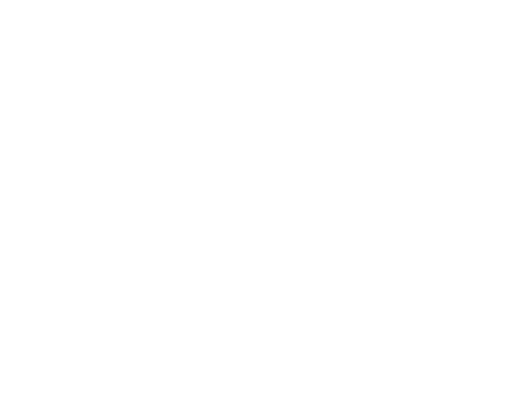 307 Diecast