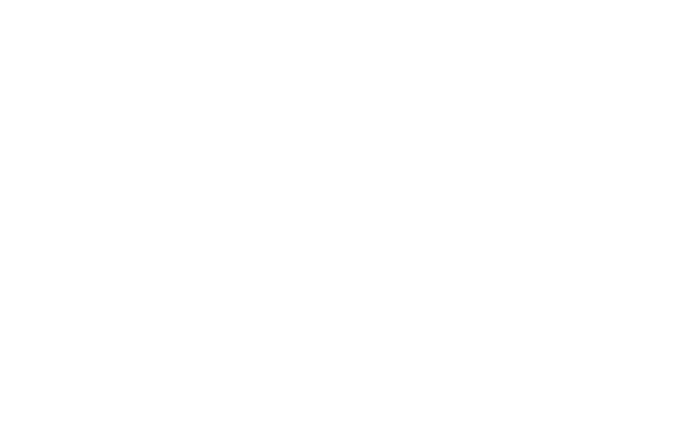 Sir Speedy