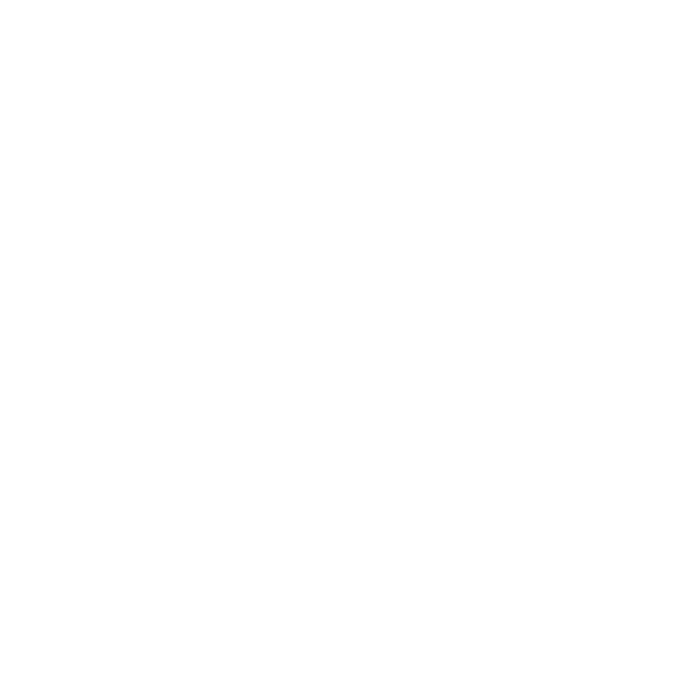 Speech Specialists